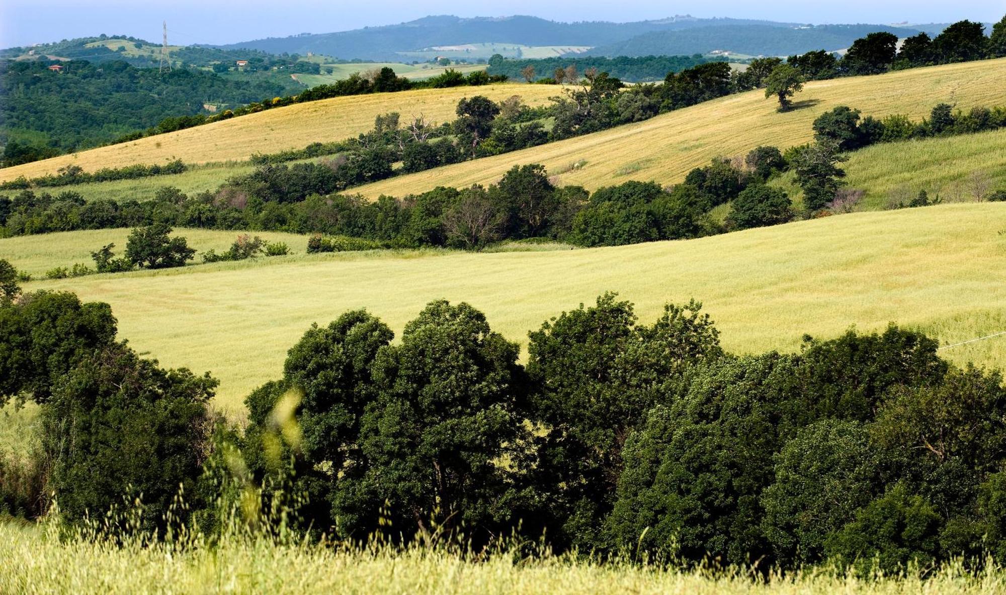 Saturnia Tuscany Country House Exterior photo